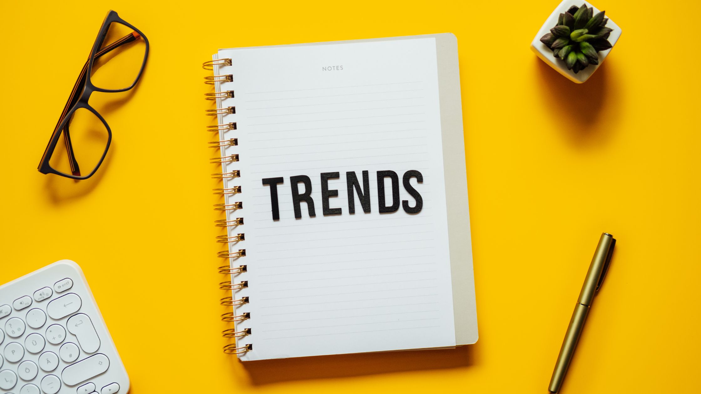 social trends